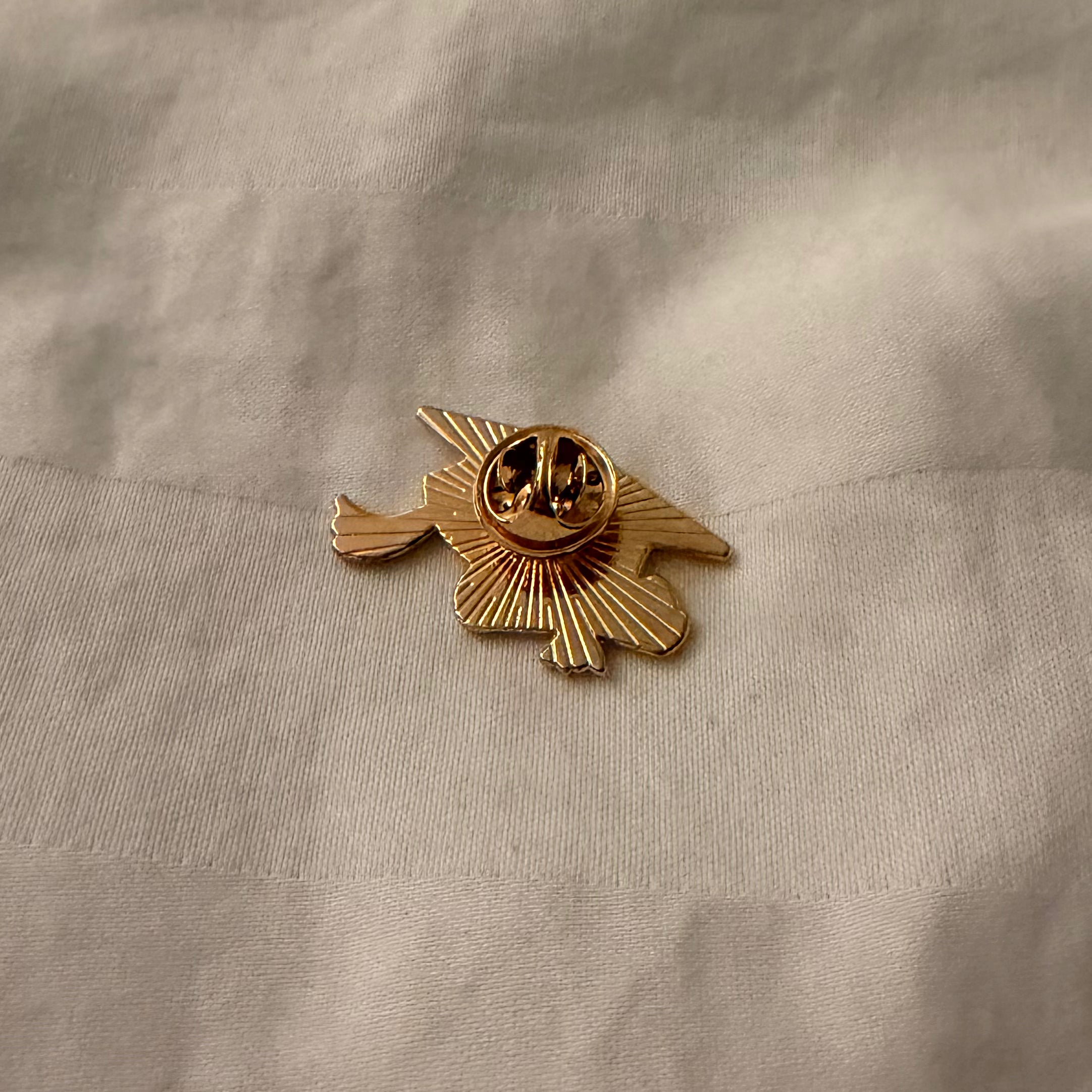 Graduation Cap Pin 🎓